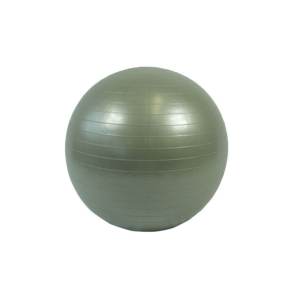 BodyMax Anti Burst Gym Ball - 55cm (Silver)
