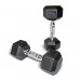 BodyMax Rubber Hex Dumbbell Sets