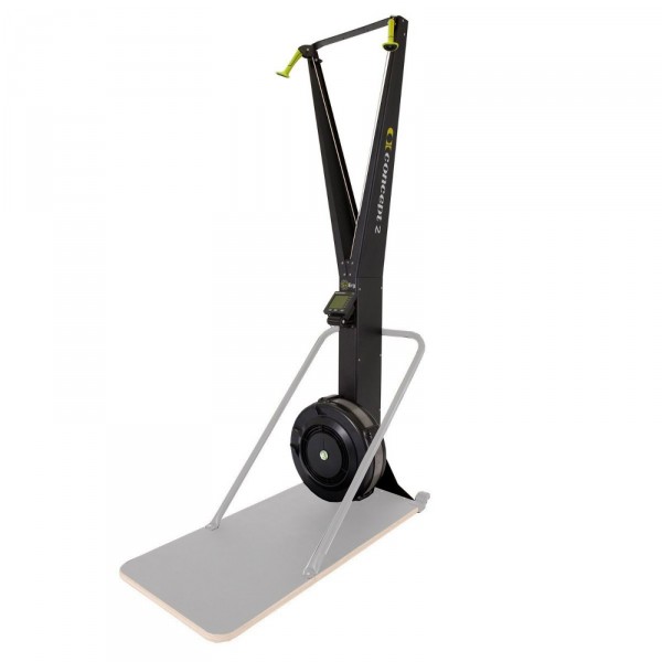 Ski Erg with optional stand greyed out