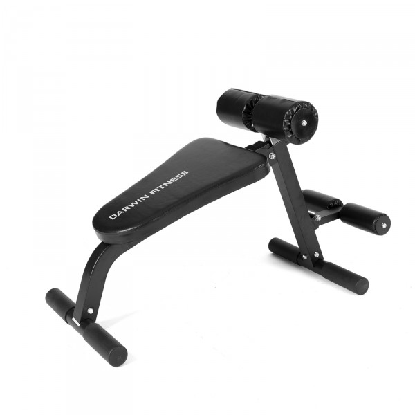 Darwin Abs and Back Trainer