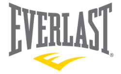 everlast brand logo