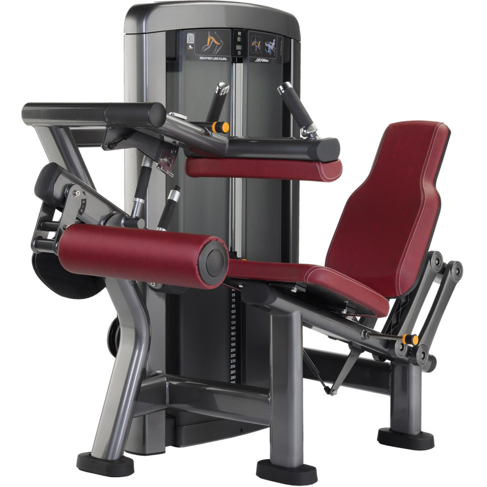 Life Fitness Insignia Series Seated Leg Curl Machine Shop Online 