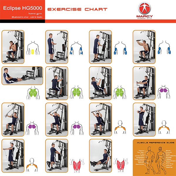 Home multi gym workout plan new arrivals