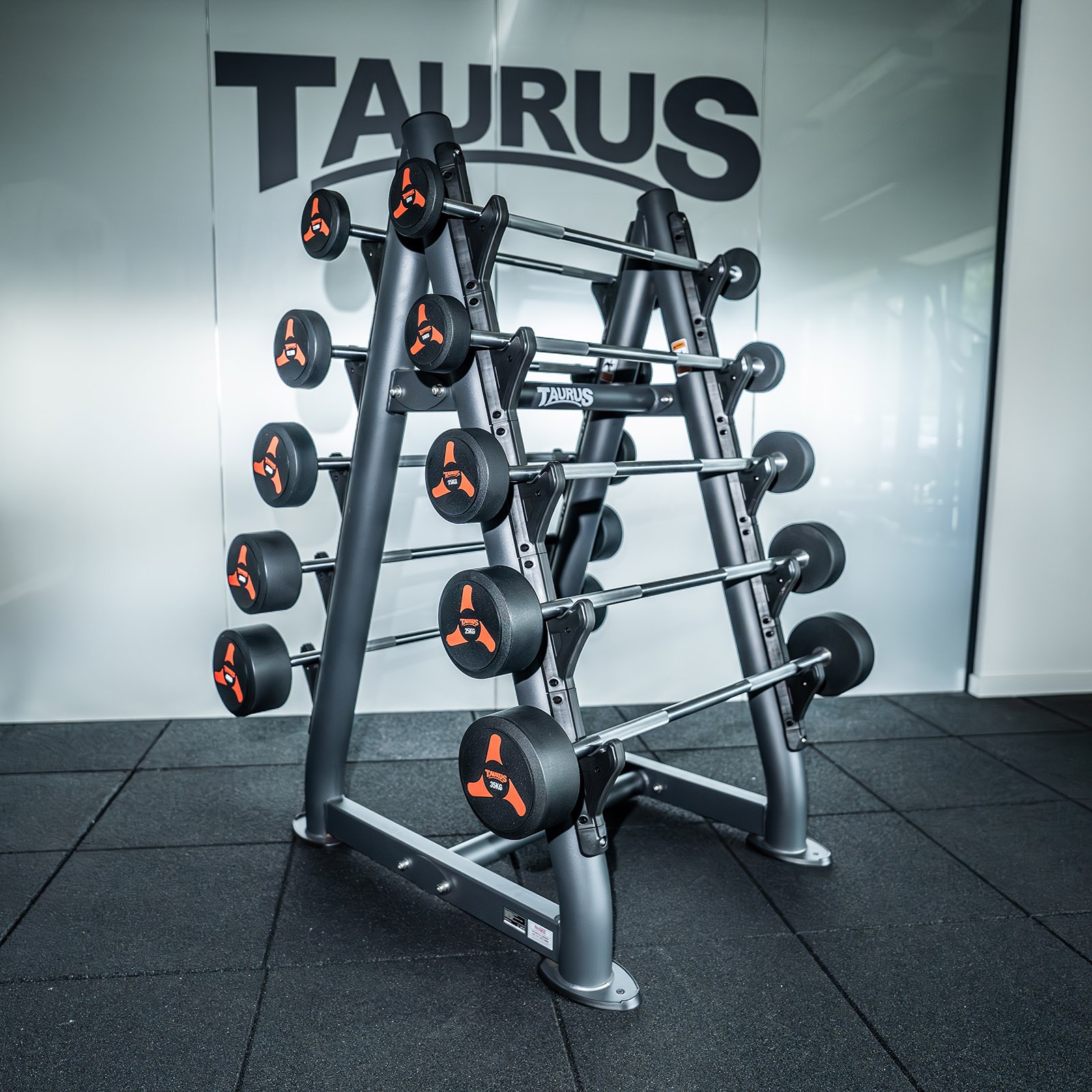 Taurus Fixed Barbell – full range on stand