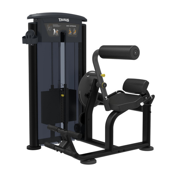 Taurus Elite Back Extension Machine